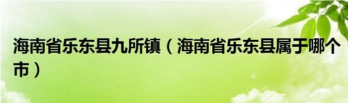 海南省乐东县九所镇（海南省乐东县属于哪个市）