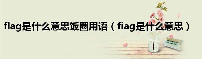 flag是什么意思饭圈用语（fiag是什么意思）