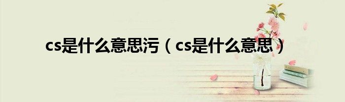 cs是什么意思污（cs是什么意思）