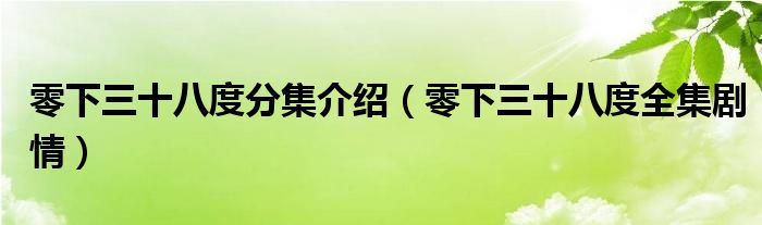 零下三十八度分集介绍（零下三十八度全集剧情）