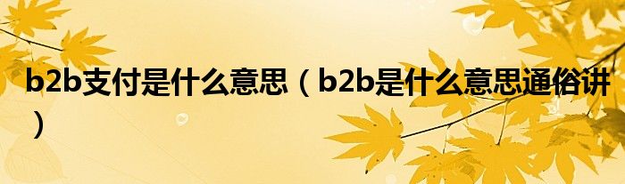 b2b支付是什么意思（b2b是什么意思通俗讲）