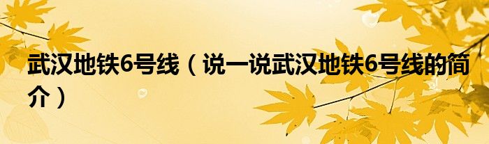 武汉地铁6号线（说一说武汉地铁6号线的简介）