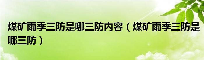 煤矿雨季三防是哪三防内容（煤矿雨季三防是哪三防）