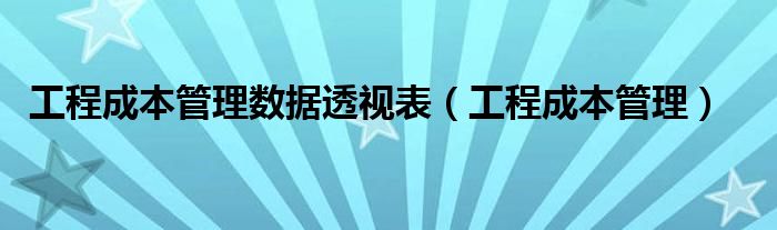 工程成本管理数据透视表（工程成本管理）