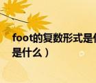 foot的复数形式是什么意思为什么不加s（foot的复数形式是什么）