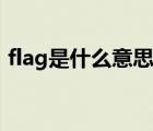 flag是什么意思饭圈用语（fiag是什么意思）