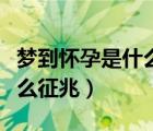 梦到怀孕是什么征兆周公解梦（梦到怀孕是什么征兆）