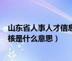 山东省人事人才信息管理系统显示未审核是什么意思（未审核是什么意思）