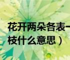 花开两朵各表一枝是平叙吗（花开两朵各表一枝什么意思）