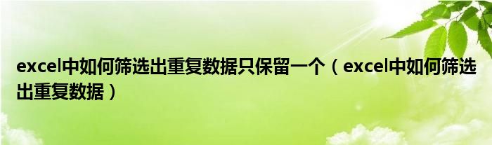 excel中如何筛选出重复数据只保留一个（excel中如何筛选出重复数据）