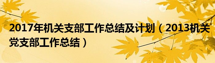 2017年机关支部工作总结及计划（2013机关党支部工作总结）