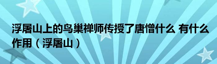 浮屠山上的鸟巢禅师传授了唐憎什么 有什么作用（浮屠山）