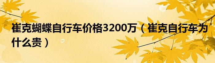 崔克蝴蝶自行车价格3200万（崔克自行车为什么贵）