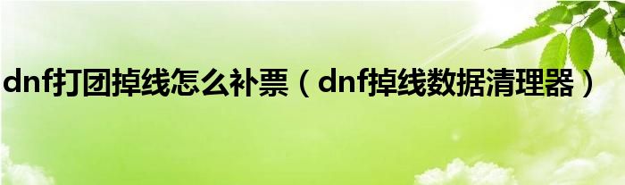 dnf打团掉线怎么补票（dnf掉线数据清理器）