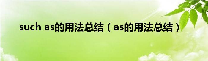 such as的用法总结（as的用法总结）