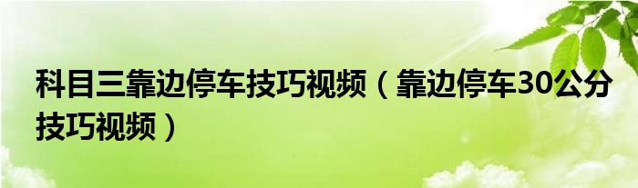 科目三靠边停车技巧视频（靠边停车30公分技巧视频）