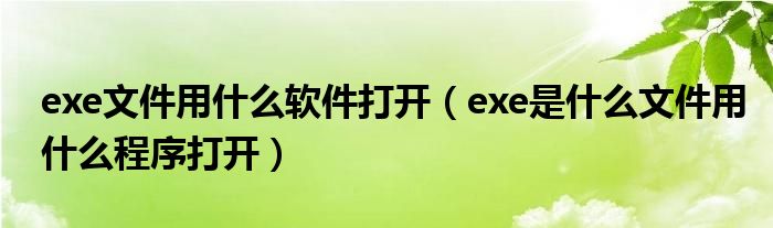 exe文件用什么软件打开（exe是什么文件用什么程序打开）