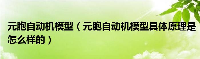 元胞自动机模型（元胞自动机模型具体原理是怎么样的）