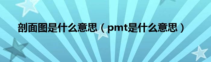 剖面图是什么意思（pmt是什么意思）