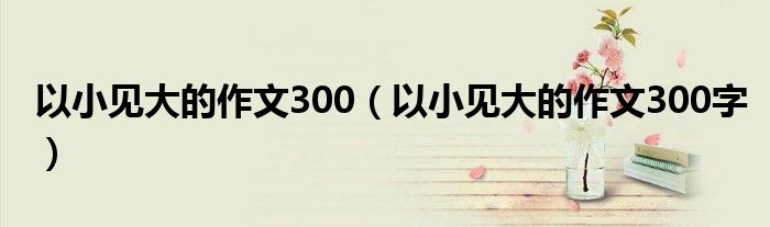 以小见大的作文300（以小见大的作文300字）