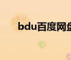 bdu百度网盘网页版（bdu百度网盘）