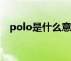 polo是什么意思英语（polo是什么意思）