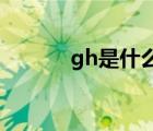 gh是什么意思啊（GH是什么）