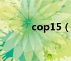 cop15（说一说cop15的简介）