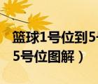 篮球1号位到5号位分别是什么（篮球1号位到5号位图解）