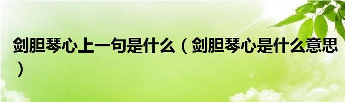 剑胆琴心上一句是什么（剑胆琴心是什么意思）