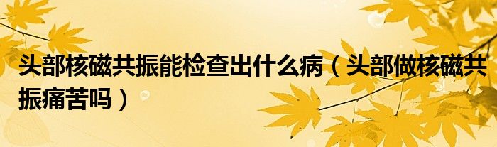 头部核磁共振能检查出什么病（头部做核磁共振痛苦吗）