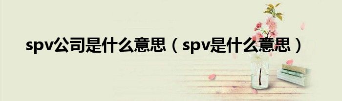 spv公司是什么意思（spv是什么意思）