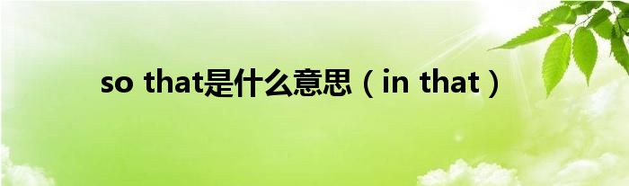 so that是什么意思（in that）