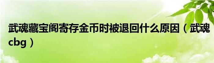 武魂藏宝阁寄存金币时被退回什么原因（武魂cbg）