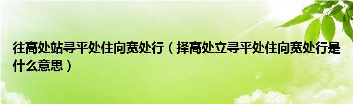 往高处站寻平处住向宽处行（择高处立寻平处住向宽处行是什么意思）