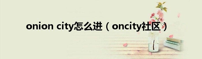 onion city怎么进（oncity社区）