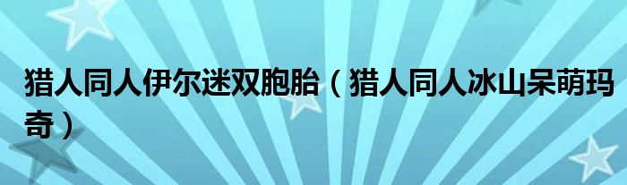 猎人同人伊尔迷双胞胎（猎人同人冰山呆萌玛奇）