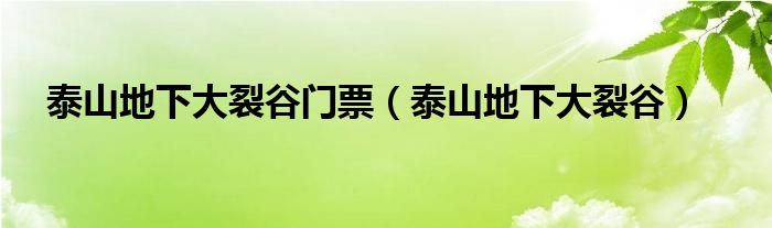 泰山地下大裂谷门票（泰山地下大裂谷）