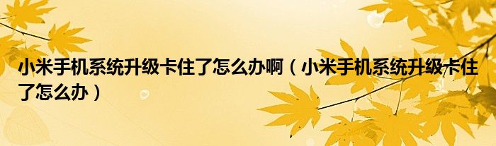 小米手机系统升级卡住了怎么办啊（小米手机系统升级卡住了怎么办）