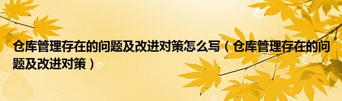 仓库管理存在的问题及改进对策怎么写（仓库管理存在的问题及改进对策）