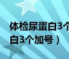 体检尿蛋白3个加号阳性没有症状（体检尿蛋白3个加号）