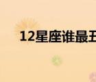 12星座谁最丑（12月25日是什么星座）