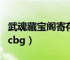 武魂藏宝阁寄存金币时被退回什么原因（武魂cbg）