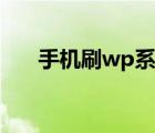 手机刷wp系统（wp系统能刷成安卓）