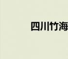 四川竹海在哪里（竹海在哪里）