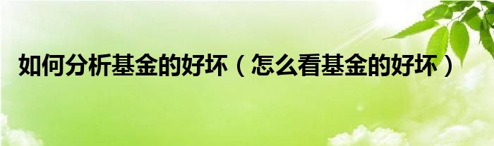 如何分析基金的好坏（怎么看基金的好坏）