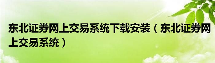 东北证券网上交易系统下载安装（东北证券网上交易系统）