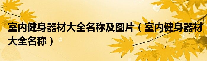 室内健身器材大全名称及图片（室内健身器材大全名称）