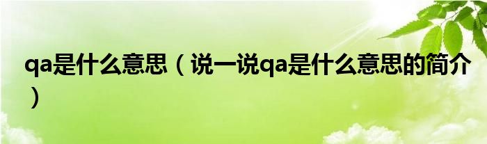 qa是什么意思（说一说qa是什么意思的简介）