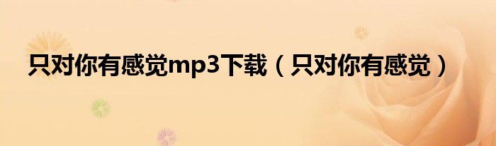 只对你有感觉mp3下载（只对你有感觉）